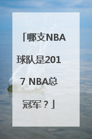 哪支NBA球队是2017 NBA总冠军？