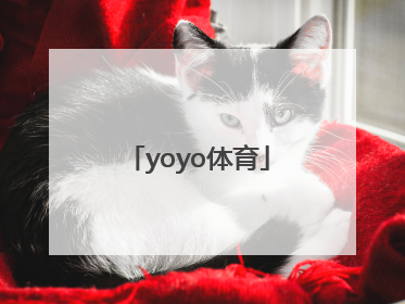 「yoyo体育」yoyo体育实体店网站